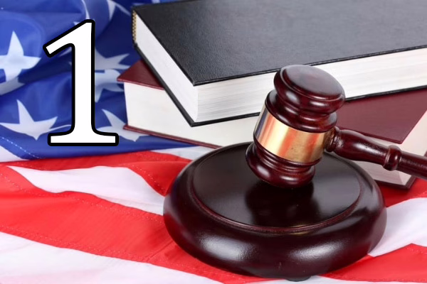 INTL 501 Foundations of US Law